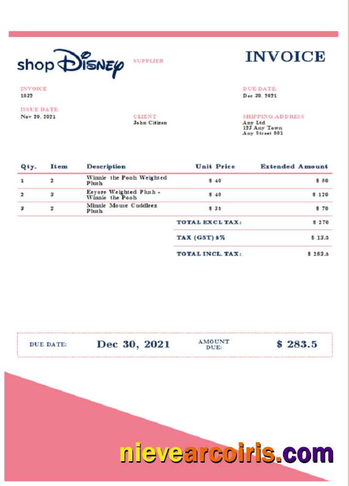USA Disney invoice